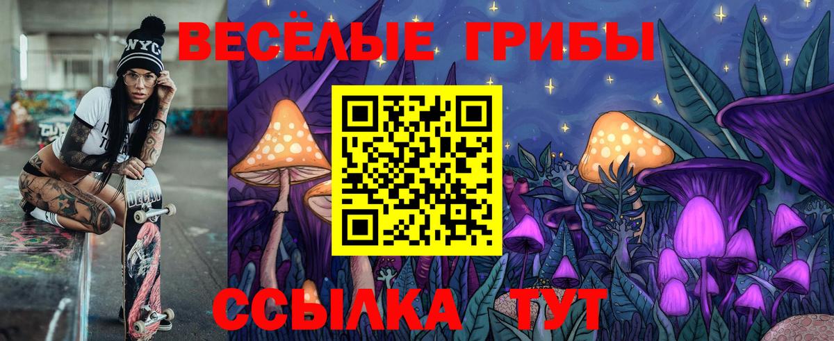 Галлюциногенные грибы Psilocybe Острогожск